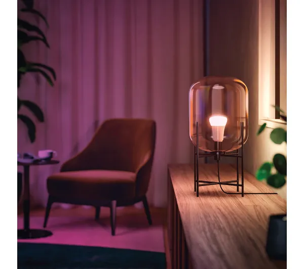Philips Hue White and Colour Ambiance E27 2 szt. - Kup na Raty - RRSO 0%
