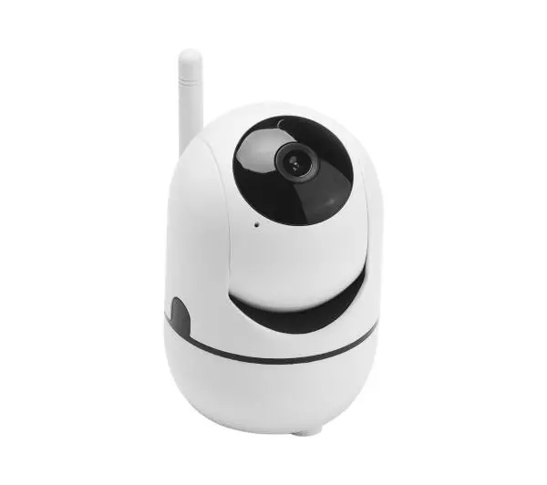 Redleaf Home Cam 100