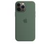 Etui Apple Silicone Case MagSafe do iPhone 13 Pro Max (zielony)