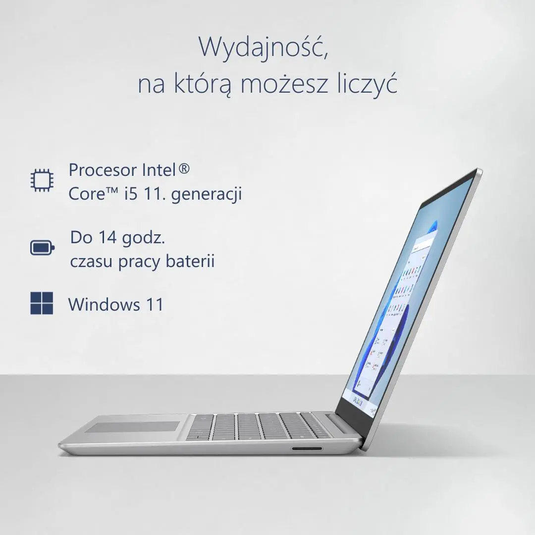 Microsoft Surface Laptop Go 2 (Intel Core i5/8GB RAM/256GB