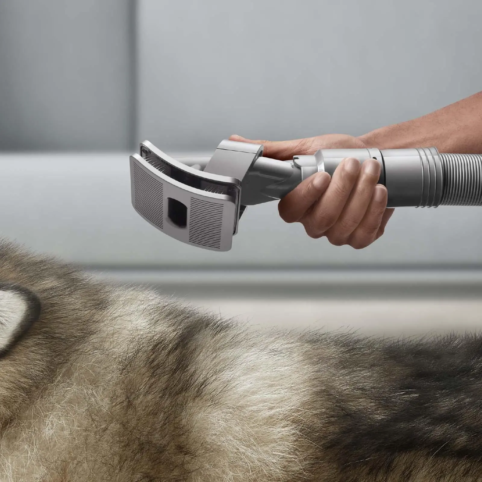 Dyson pet discount