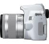 Lustrzanka Canon EOS 250D + EF-S 18-55mm