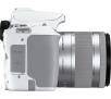 Lustrzanka Canon EOS 250D + EF-S 18-55mm