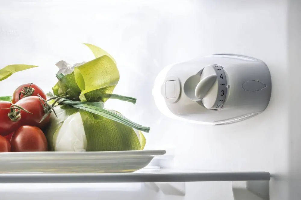 Candy CCG1L314EW – pokrętło ustawień