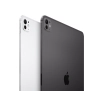 Apple iPad Pro 5 gen 2024 11"8/256GB Wi-Fi Srebrny