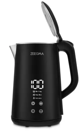 фото Електрочайник Zeegma Ketlee Control Black