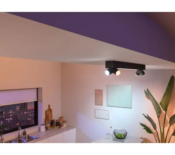 Philips punktowy Centris 4 Czarny - Kup na Raty - RRSO 0%