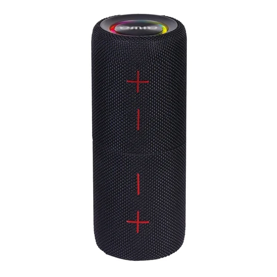 Głośnik Bluetooth Aiwa BST-250 20W Czarny z Odłączanym Systemem Stereo