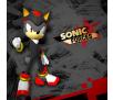 Sonic Forces Bonus Edition Gra na PS4 (Kompatybilna z PS5)
