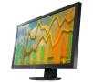 Eizo EV2313W (czarny)