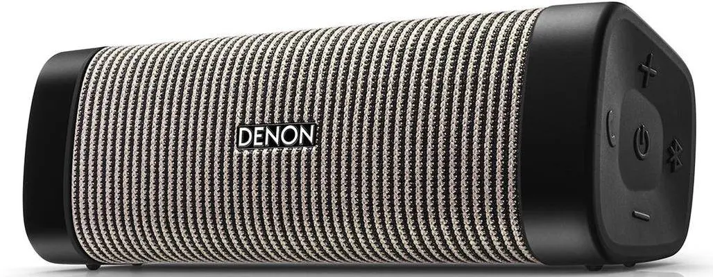 Głośnik Bluetooth Denon Envaya DSB-250BT 27W Szary
