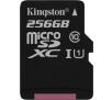 Kingston microSDXC 256GB CL10