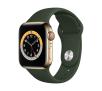 Smartwatch Apple Watch Series 6 GPS + Cellular 40mm Zielony-sport