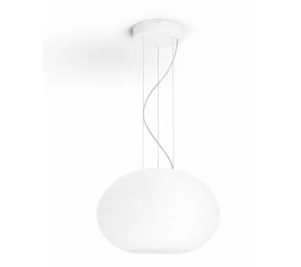 Philips Hue White and Colour Ambiance Flourish 929003053601 - Kup na Raty - RRSO 0%