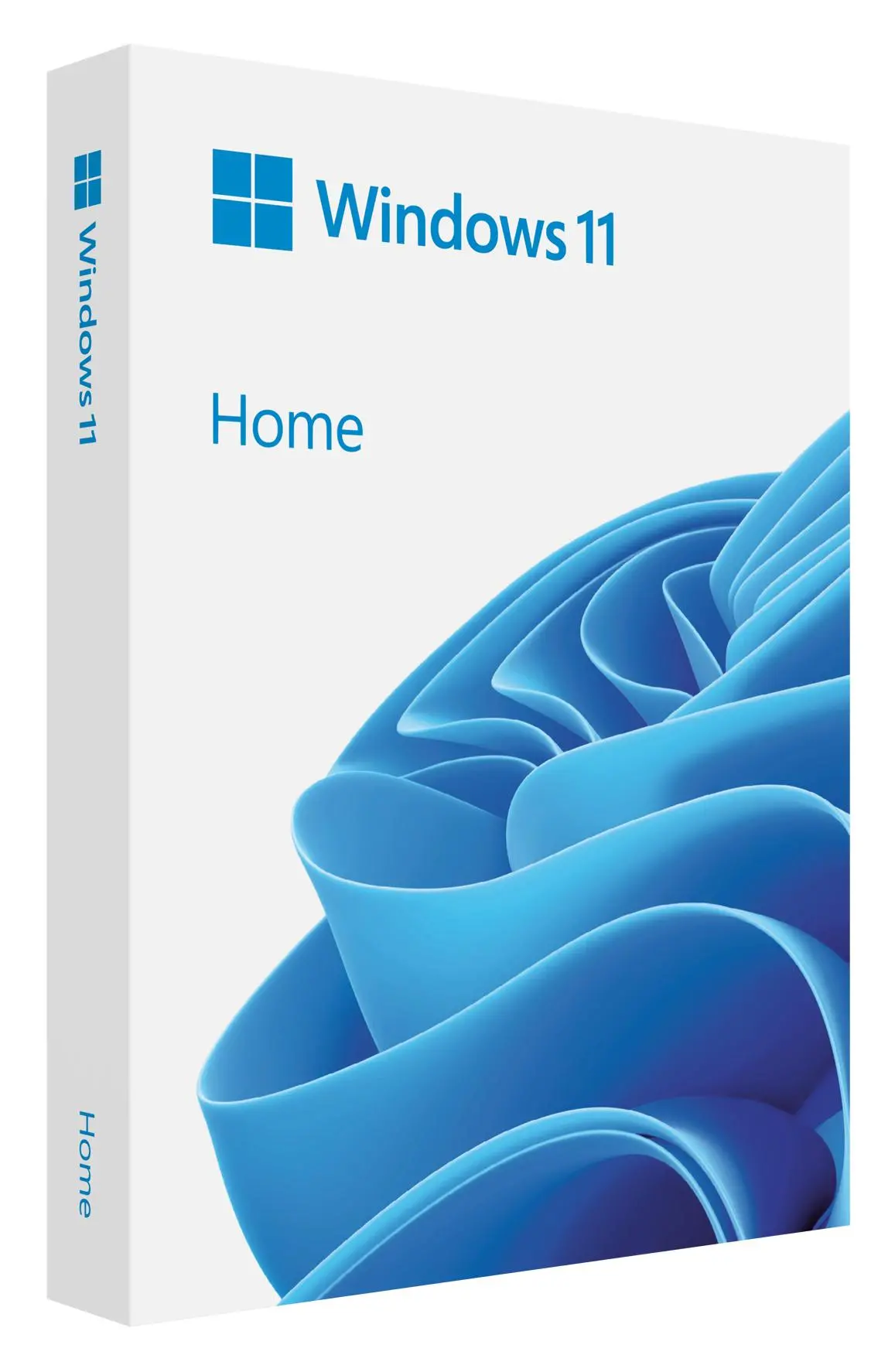 Program Microsoft Windows 11 Home OEM DVD PL