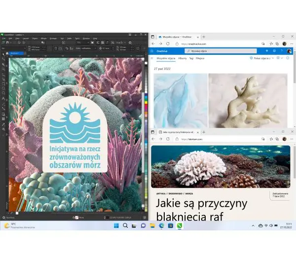 Microsoft Windows 11 Home OEM DVD PL - Kup na Raty - RRSO 0%