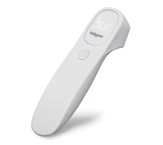 Termometr BabyOno Natural Nursing 790