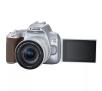 Lustrzanka Canon EOS 250D + obiektyw EF-S 18-55mm IS STM Srebrny