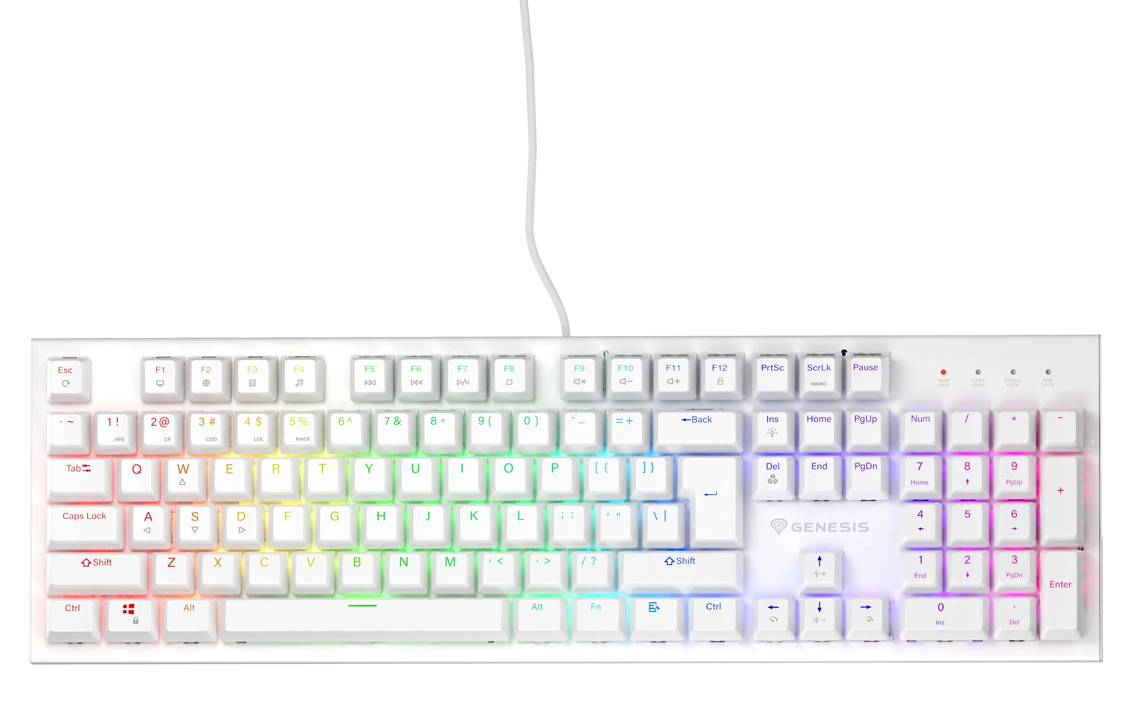 Klawiatura mechaniczna Genesis Thor 303 Outemu Brown Biały