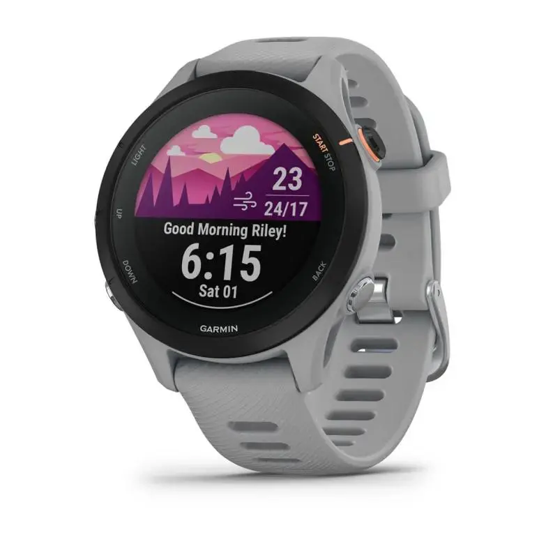 Garmin Forerunner 255S 41mm GPS Szary