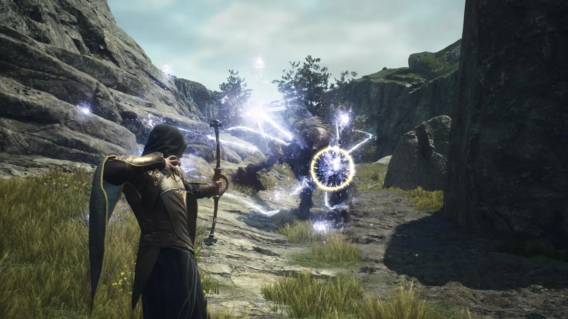 Dragon's Dogma II Gra na PC