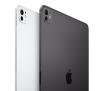 Tablet Apple iPad Pro 2024 11" 8/256GB Wi-Fi Cellular 5G Gwiezdna czerń