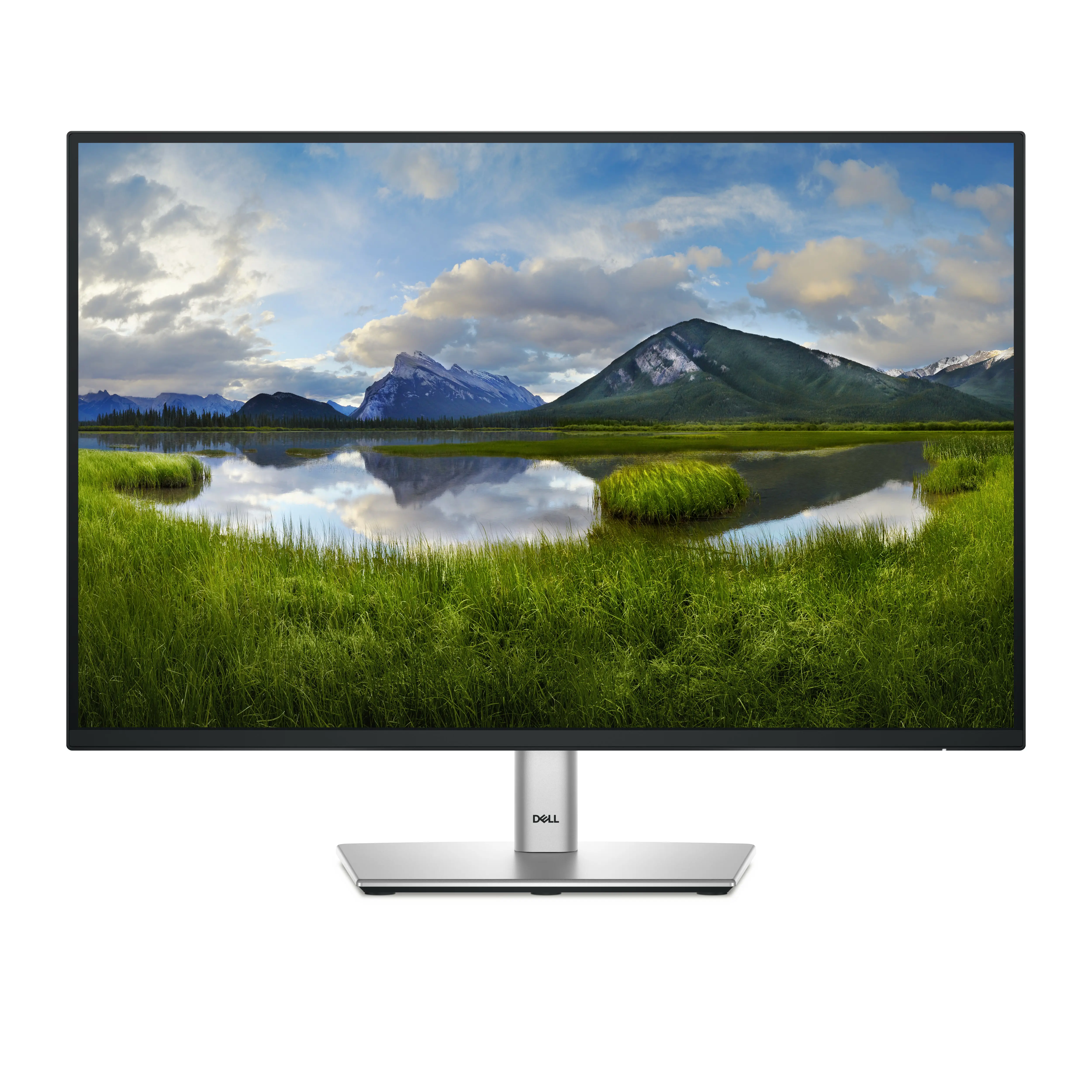 Monitor Dell P2425E 24" Full HD IPS 100Hz 5ms