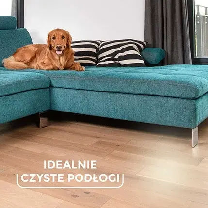 Wkład czyszczący Vileda Szczotka do zamiatania sierści i włosów Always Clean Vileda Pet Pro bez drążka