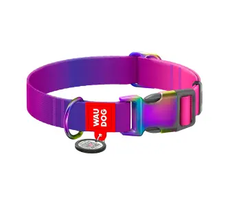 Obroża Waudog nylonowa z kodem QR rozmiar M Gradient fioletowy