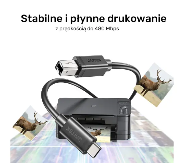 Unitek C14140ABK03-3M USB C - USB B 2.0 3m Czarny