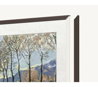 TCL FRM652A-O do NXTVision A300W 65" Midnight Oak