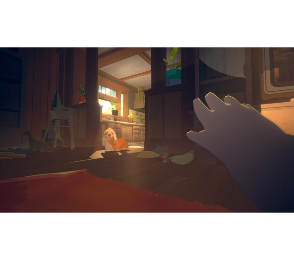 Goodnight Universe Gra na PS5