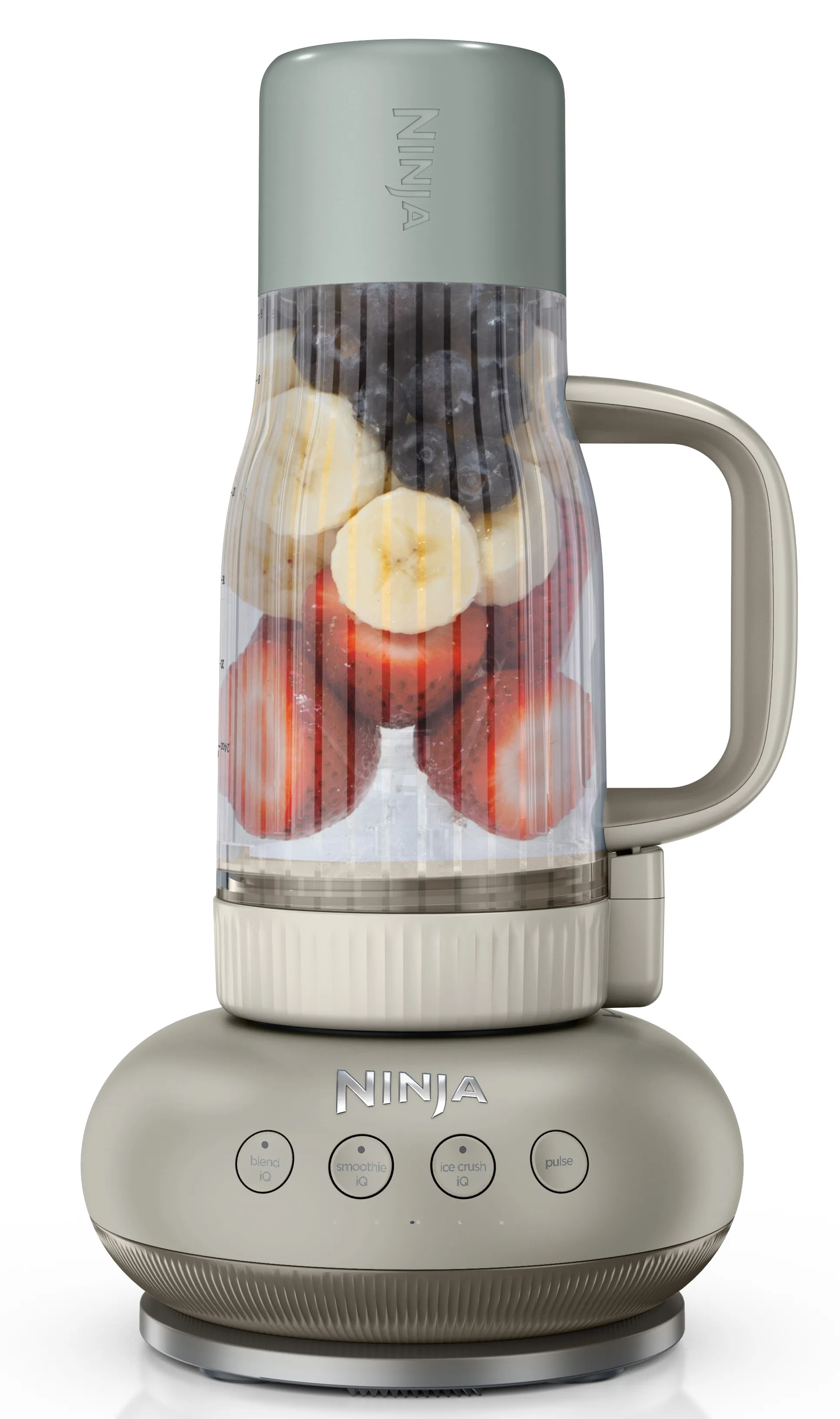 Blender kielichowy Ninja DB351EUST 0,65l