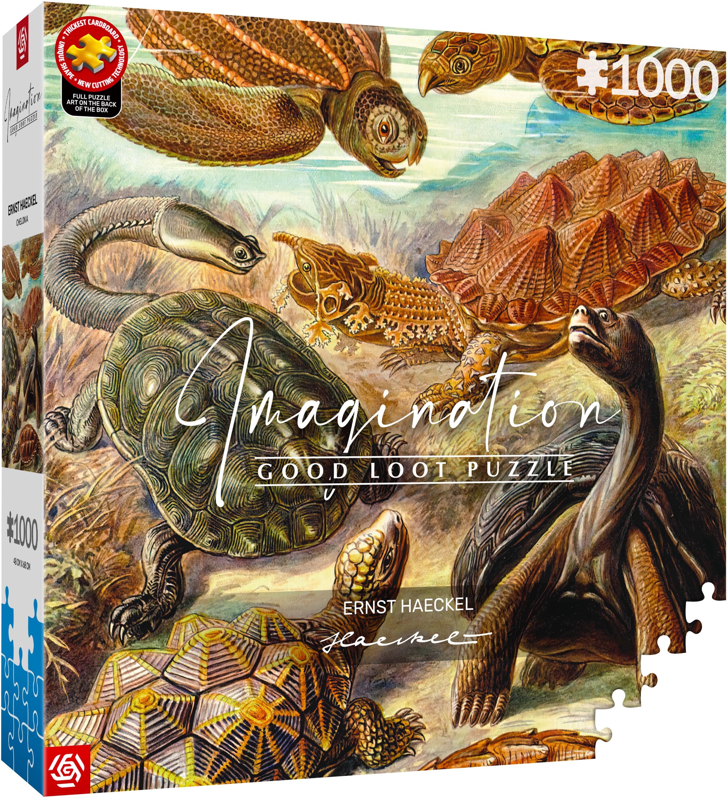 Puzzle Imagination Ernst Haeckel Chelonia / Żółwie Morskie