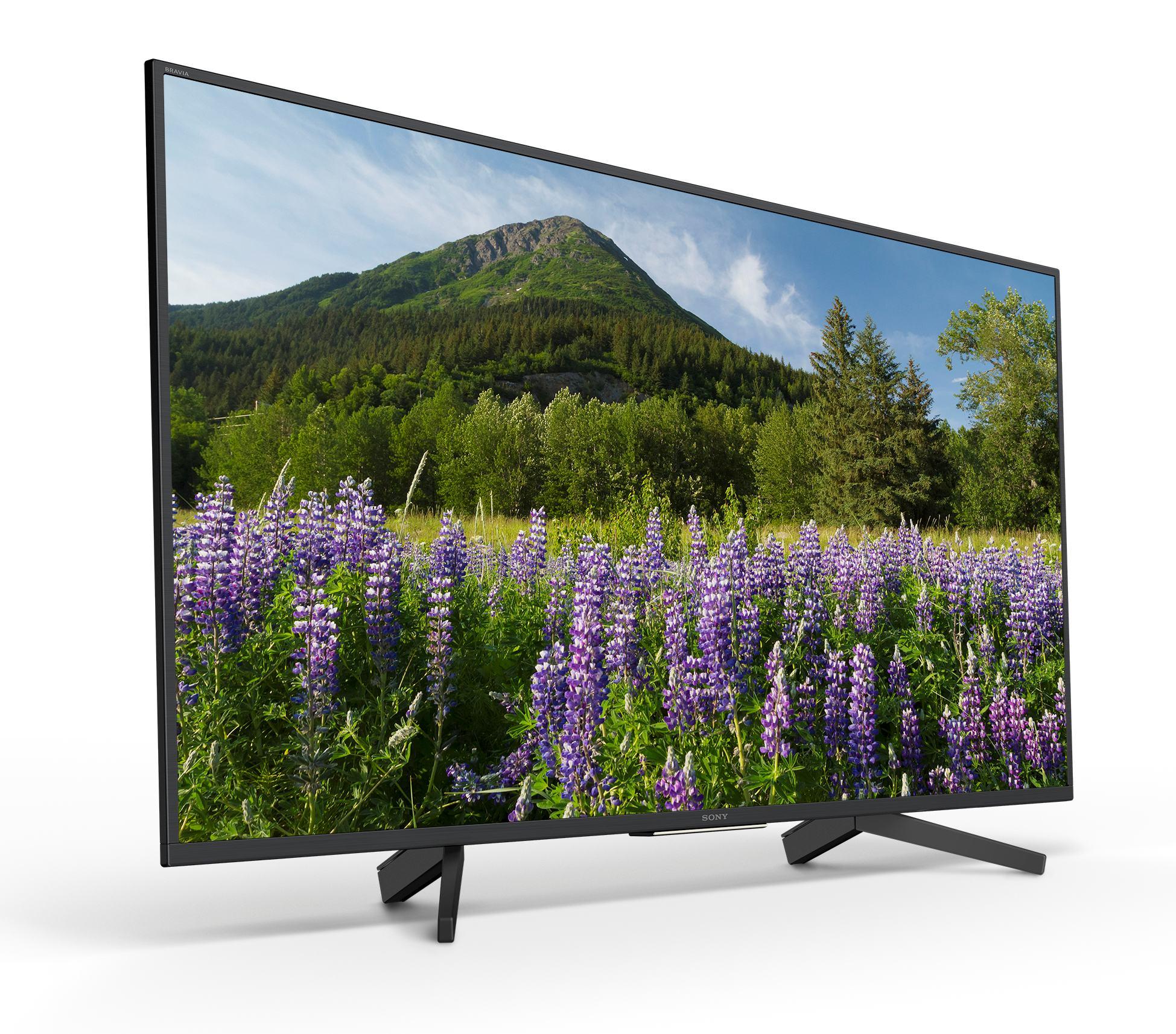 Telewizor Sony KD-55XF7096 - Opinie, Cena - RTV EURO AGD