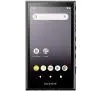 Odtwarzacz MP3 Sony NW-A105 Czarny