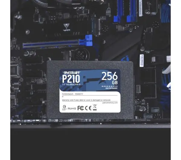 Patriot P210 256GB