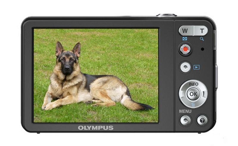 【R2209】 OLYMPUS VG-120 オリンパス Aparat cyfrowy Olympus VG-120 | Wysoka Jakość, 100% Dobra