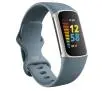 Smartband Fitbit by Google Charge 5 NFC Niebiesko-platynowy