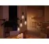 Żarówka LED Philips Hue White Ambiance Filament Edison ST72 E27 1 szt.