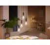 Żarówka LED Philips Hue White Ambiance Filament Edison ST72 E27 1 szt.