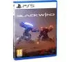 Blackwind Gra na PS5