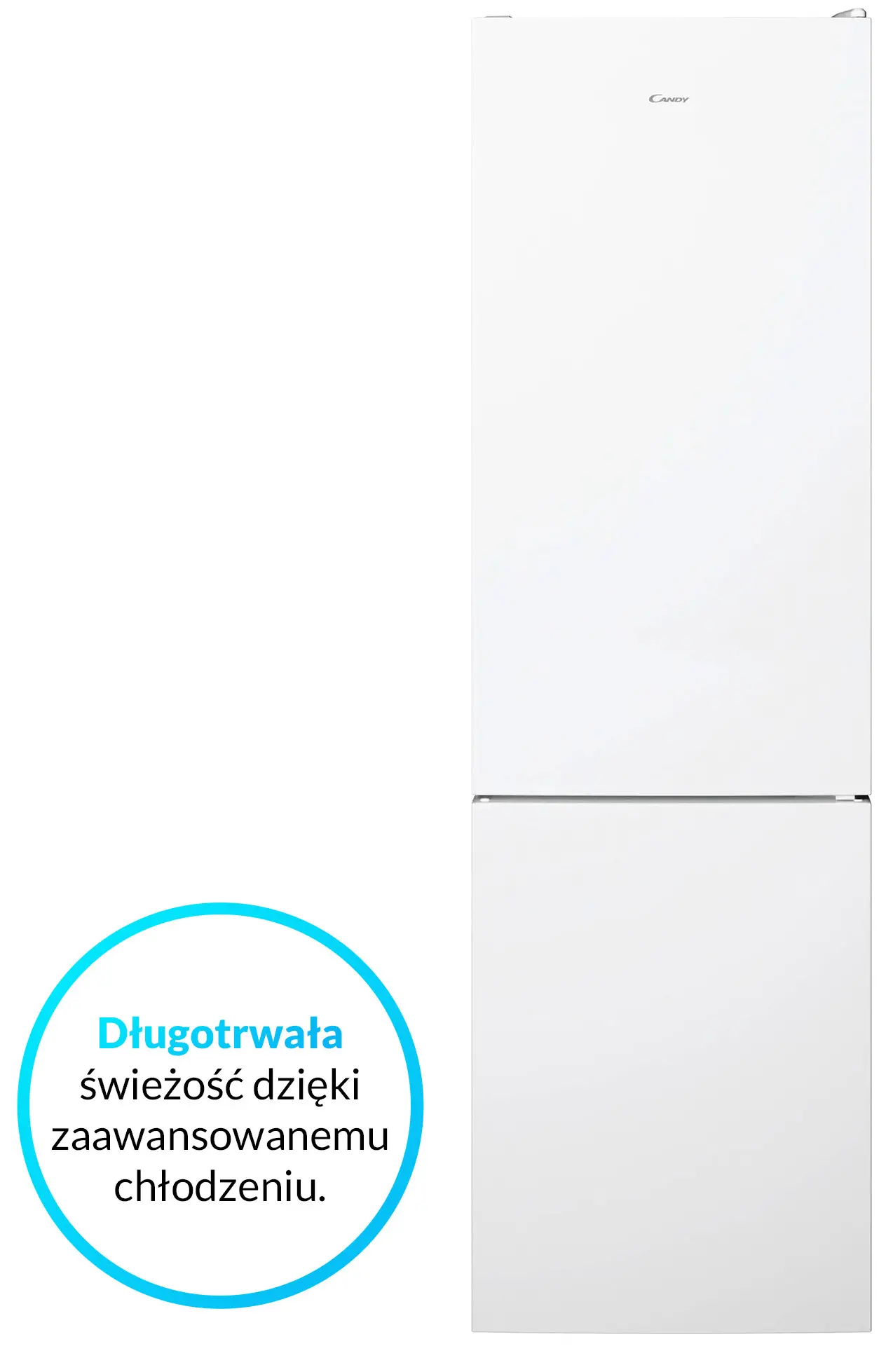 Lodówka Candy Fresco CCE4T620EW Pełny No Frost 200cm Szuflada z kontrolą wilgotności Zdalne sterowanie Biały