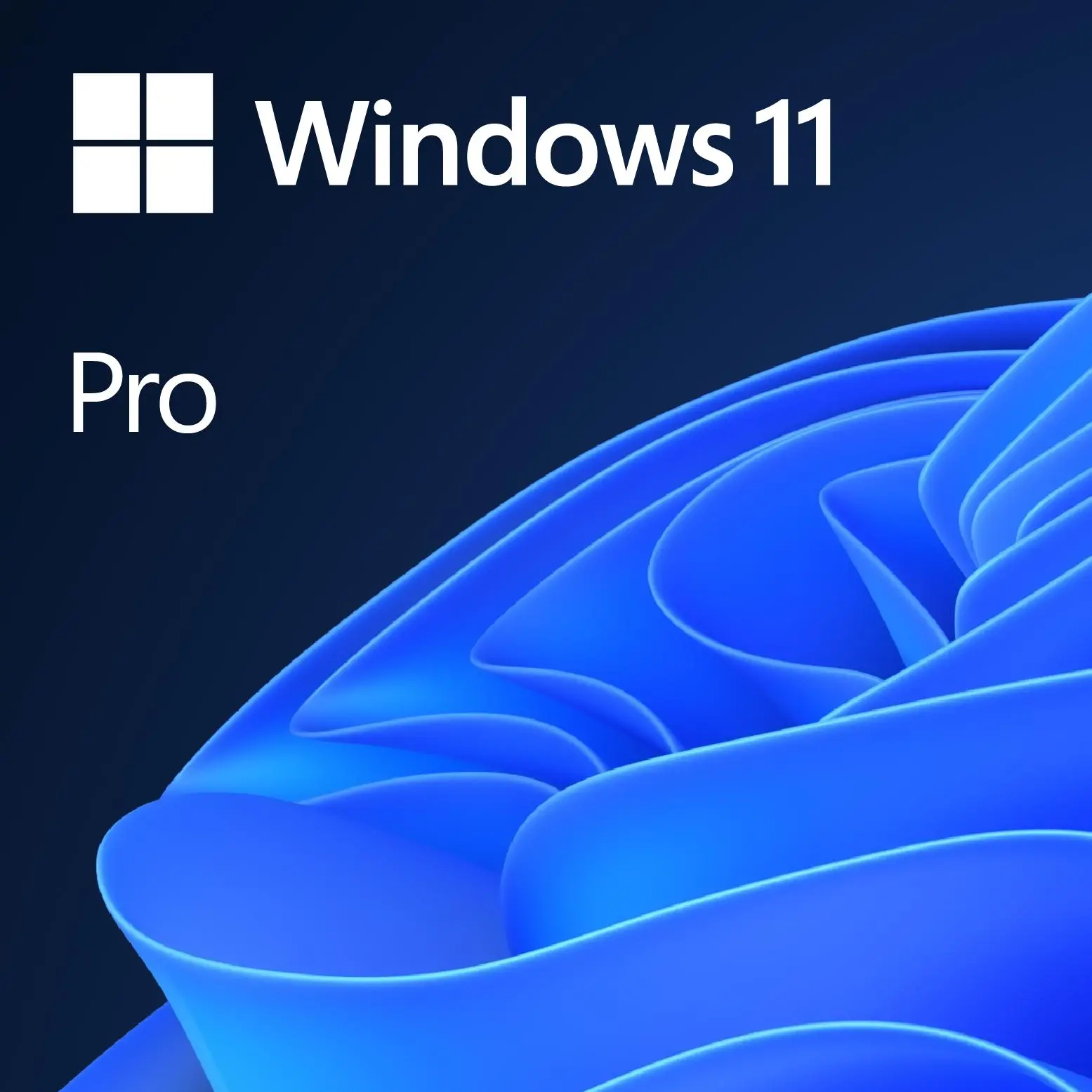 Program Microsoft Windows 11 Pro Kod aktywacyjny