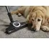 Odkurzacz Miele Complete C3 Cat&Dog Flex Power Line  890W Turboszczotka