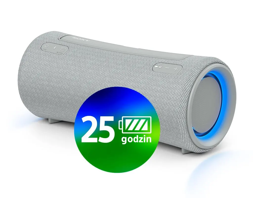 Głośnik Bluetooth Sony SRS-XG300 Szary