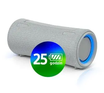 Głośnik Bluetooth Sony SRS-XG300 Szary