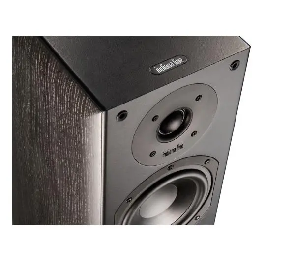 Yamaha R-S202D Czarny, Indiana Line Nota 550 X Czarny dąb - Kup na Raty - RRSO 0%