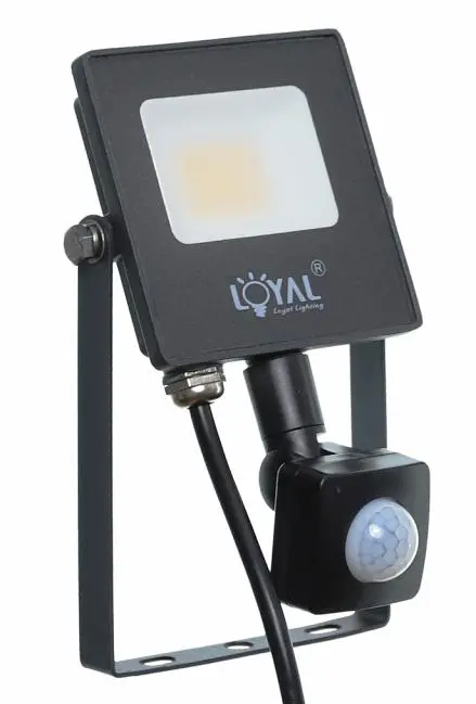 Naświetlacz Loyal Lighting LY-FLES10 (S) 1400lm