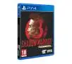 Shadow Warrior 3 Edycja Definitywna Gra na PS4 (Kompatybilna z PS5)